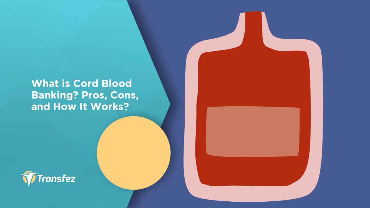 What is Cord Blood Banking? Pros, Cons, and How It Works?