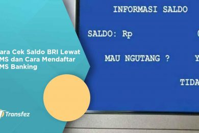 Saldo: Pengertian, Contoh Dan Jenis Di Rekening | Transfez