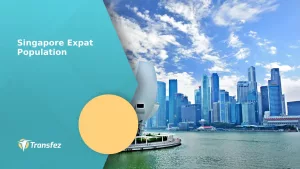 Singapore Expat Population