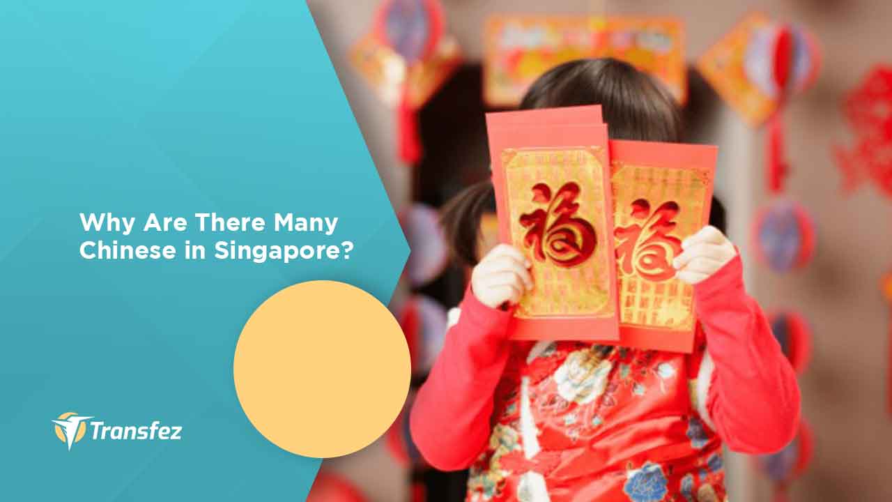 Why Are There Many Chinese in Singapore