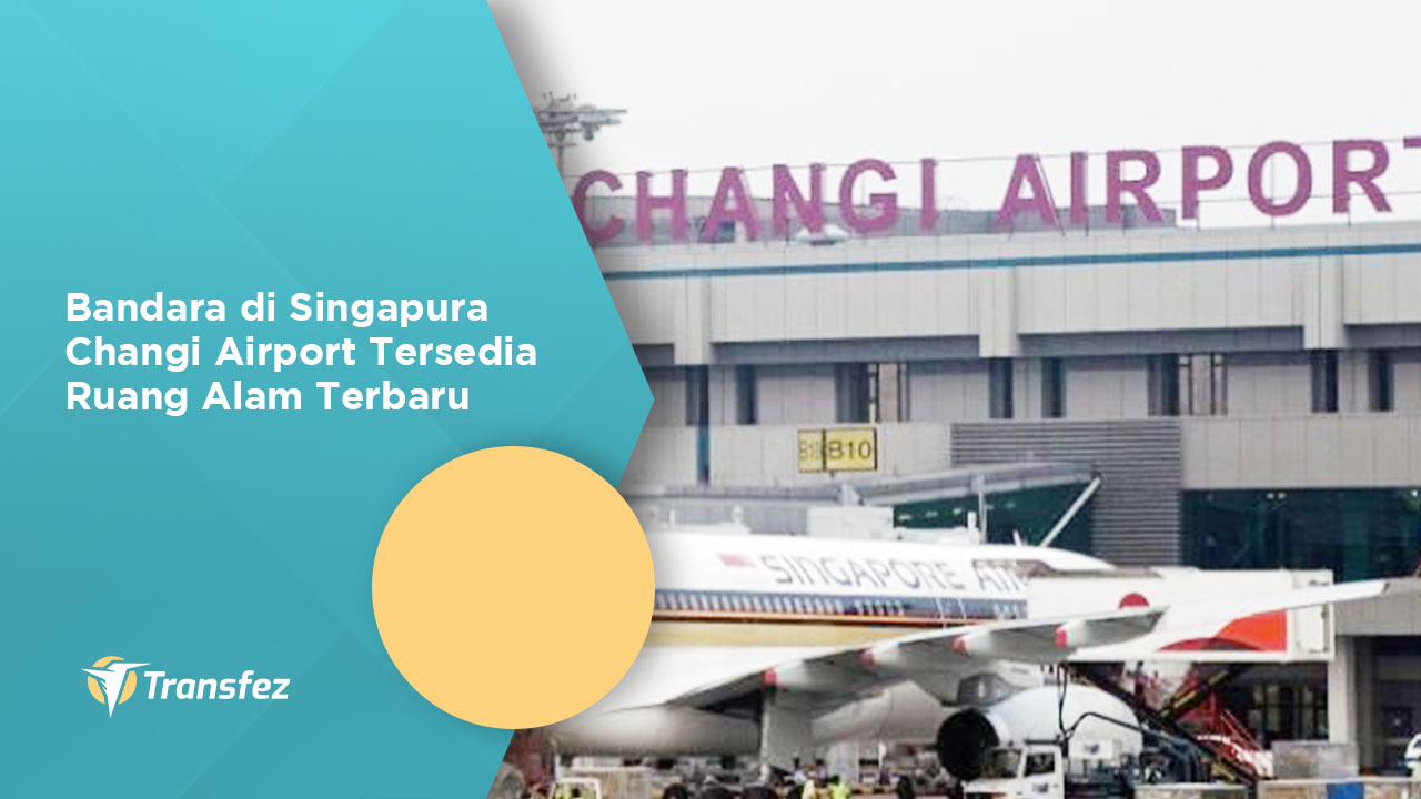 Bandara di Singapura Changi Airport Tersedia Ruang Alam Terbaru