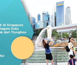 Penduduk di Singapura dengan Ragam Suku Terbanyak dari Tionghoa