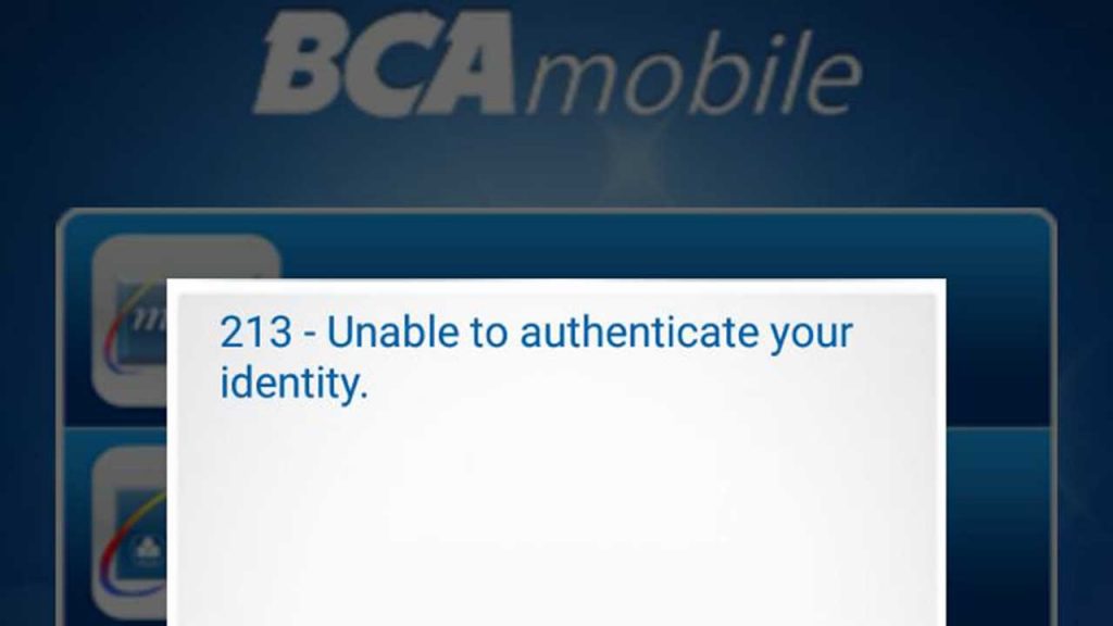 bca mobile error 213
