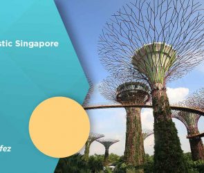 8 Fantastic Singapore Trivia
