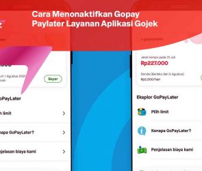 Cara Menonaktifkan Gopay Paylater Layanan Aplikasi Gojek
