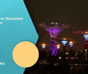 Singapore Discovery Vouchers