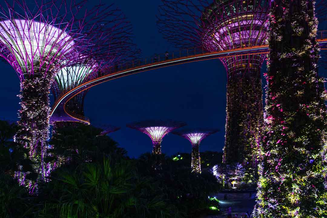 The Singapore Rediscover