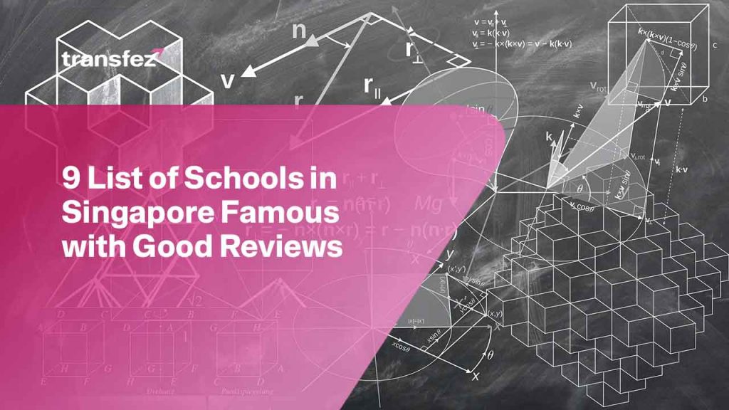 Update Information from Send Money Transfer App | Transfez 50 School in Singapore