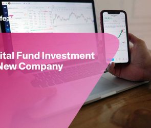 Capital Fund Investment