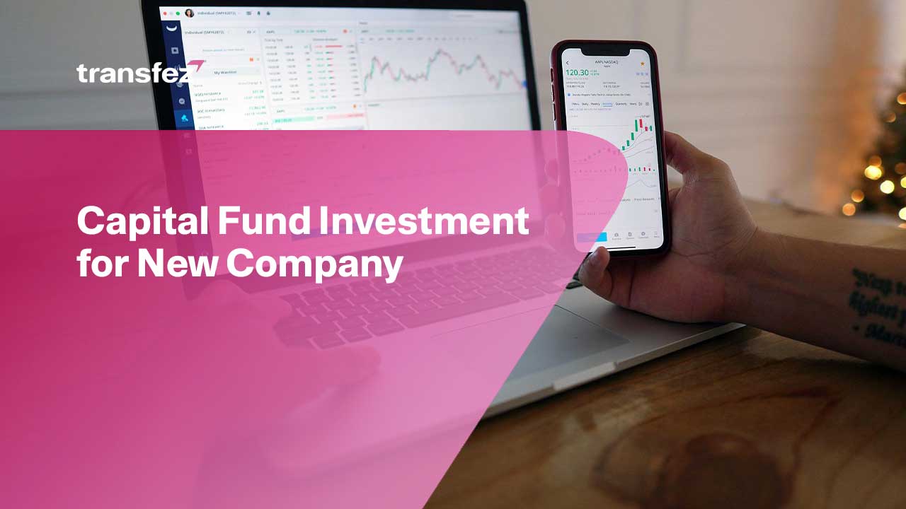 Capital Fund Investment