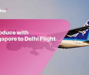 Singapore to Delhi Flight