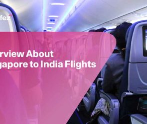 Singapore to India Flights