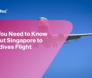 Singapore to Maldives Flight