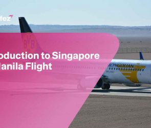 Singapore to Manila Flight