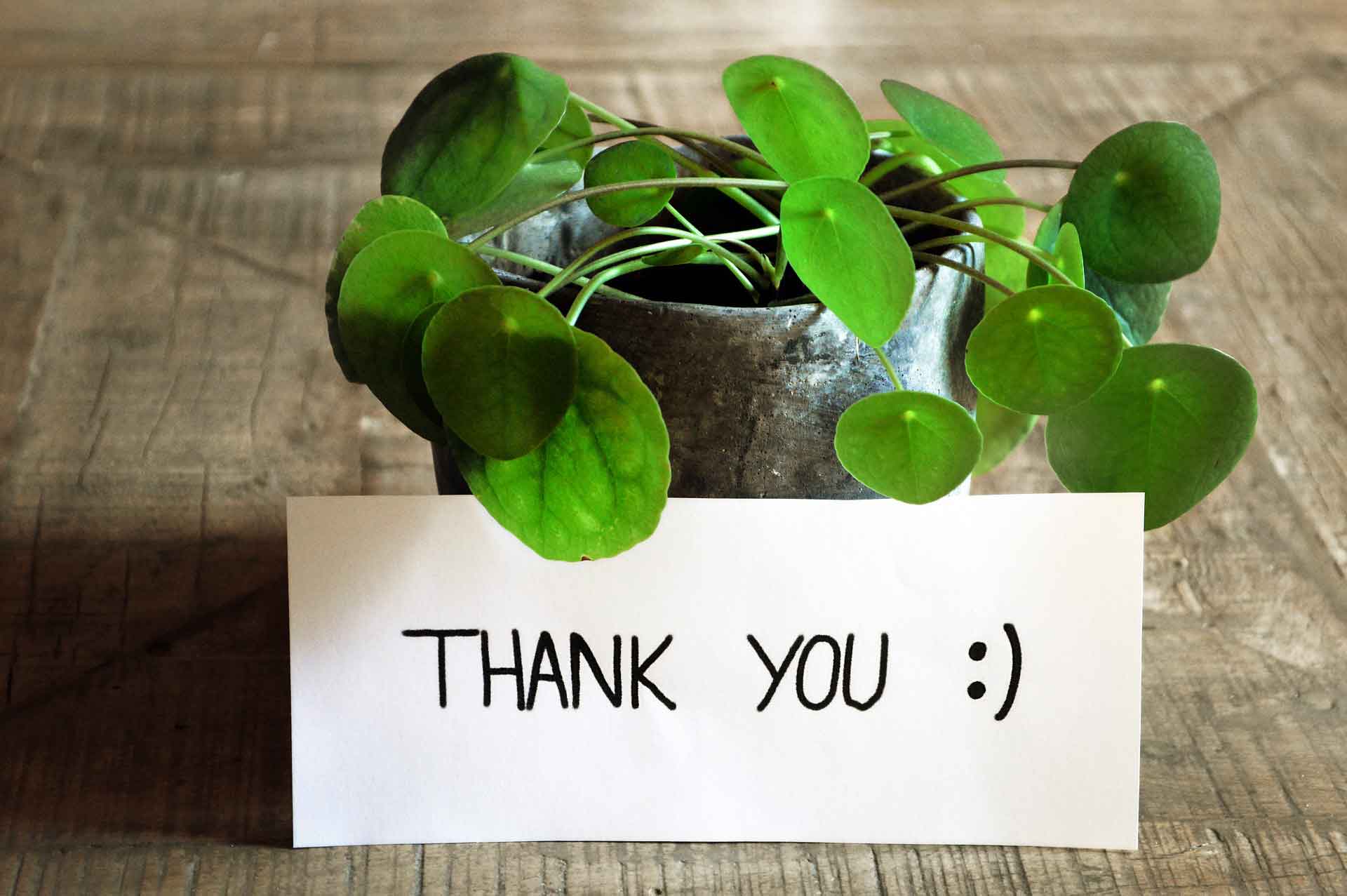 The Importance of Customer Appreciation Strategy with Its Sample