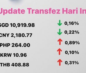 Today's Transfez Rate Update 19 October 2022