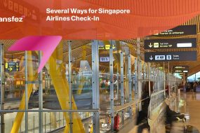 Singapore Airlines Check In