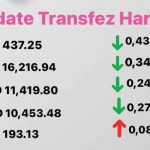 Today's Transfez Rate Update 22 November 2022