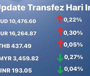 Today's Transfez Rate Update 23 November 2022