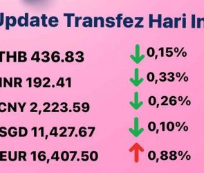 Today's Transfez Rate Update 24 November 2022