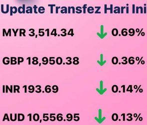 Today's Transfez Rate Update 29 November 2022