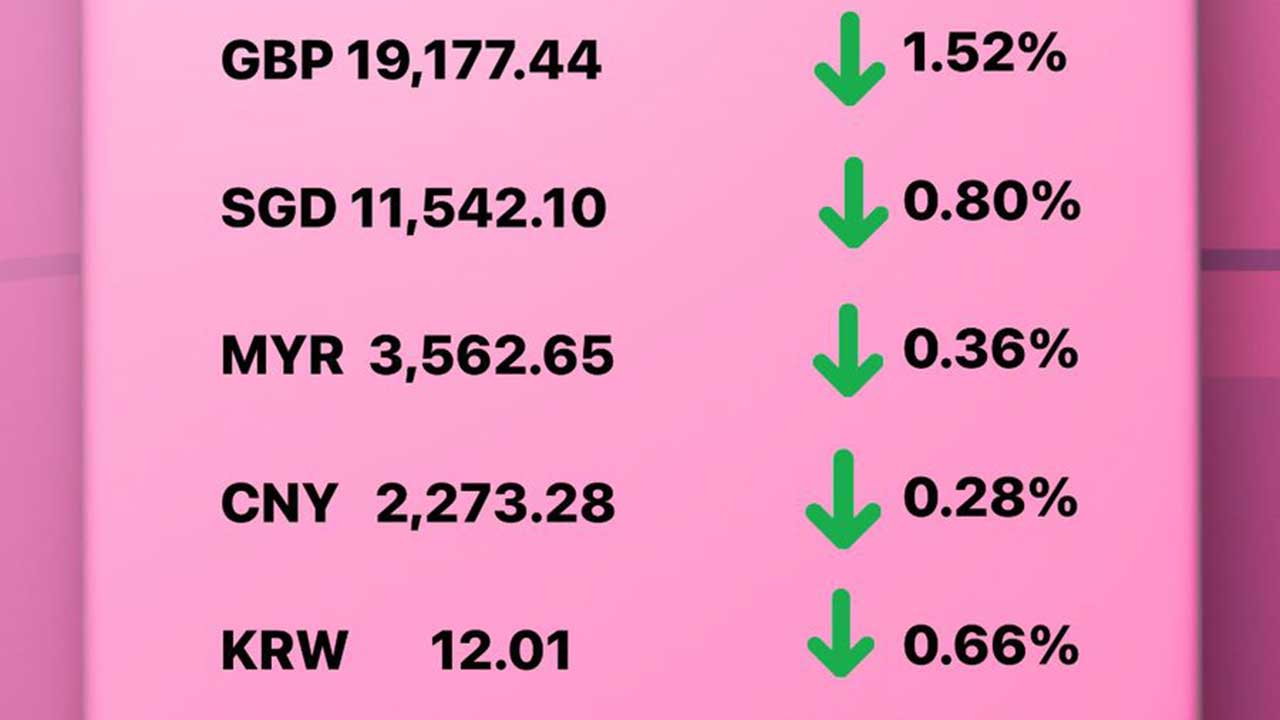 Today's Transfez Rate Update 16 December 2022