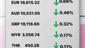 Update Rate Transfez Hari Ini 19 Desember 2022