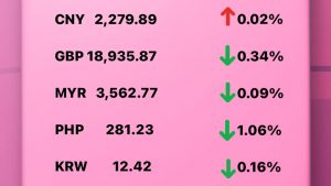 Update Rate Transfez Hari Ini 28 Desember 2022