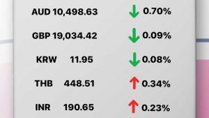 Update Rate Transfez Hari Ini 6 Desember 2022