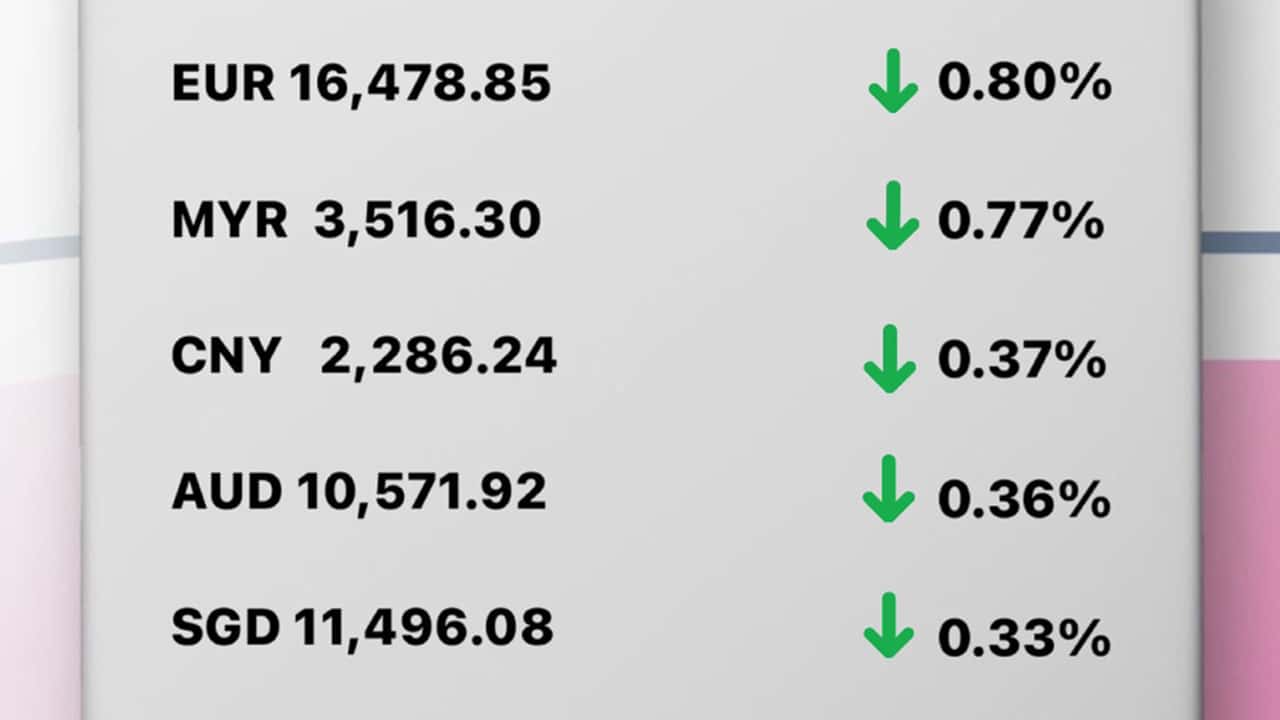 Today's Transfez Rate Update January 16 2023