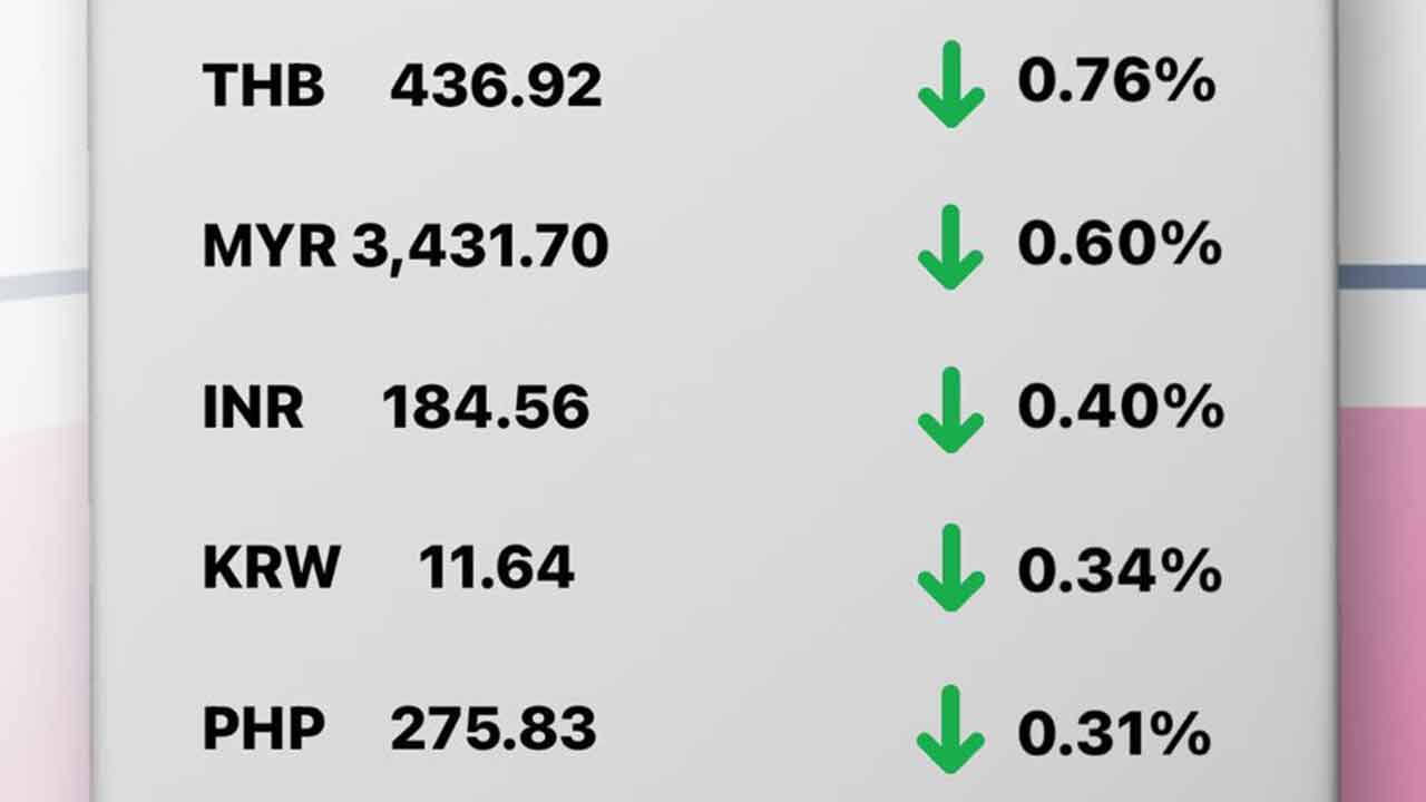 Today's Transfez Rate Update February 28 2023