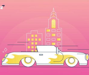 transportation transfez