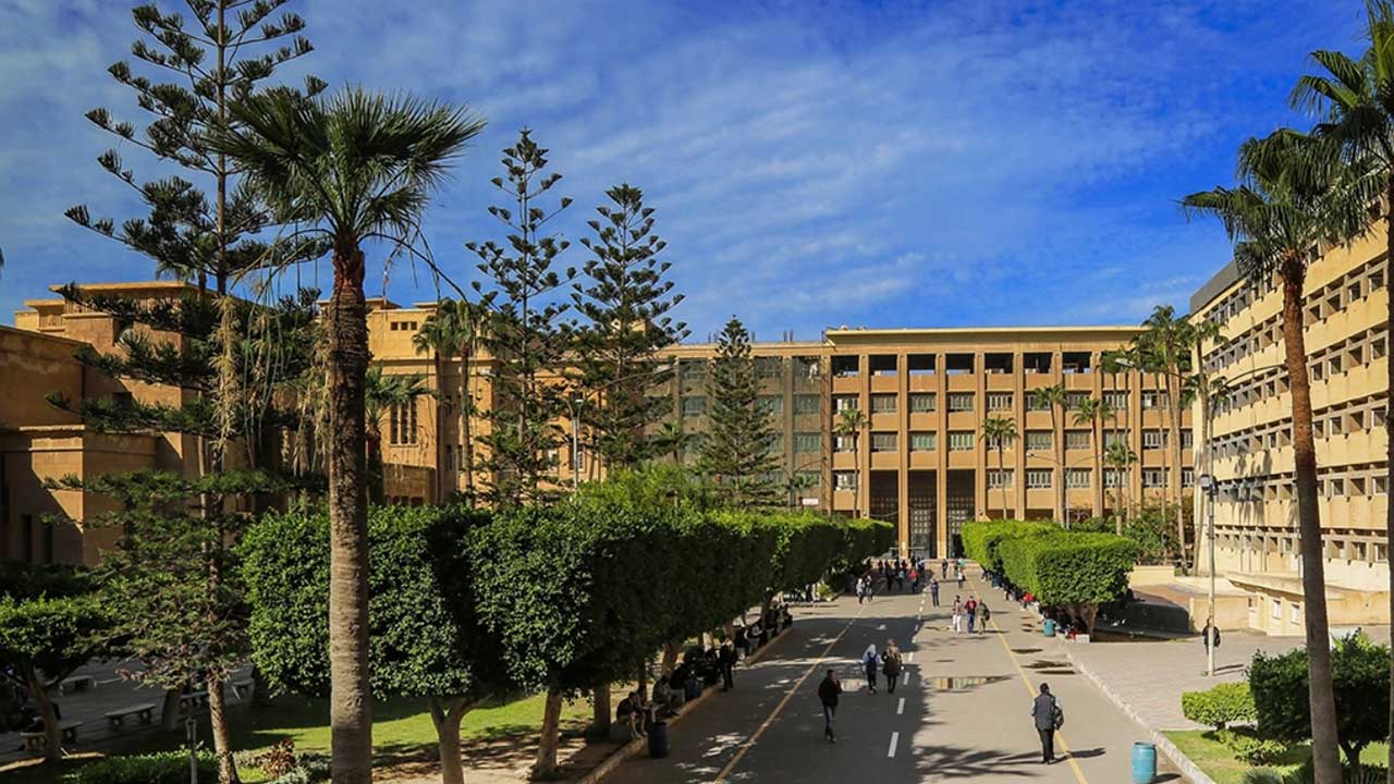 Universitas Alexandria - Universitas di Mesir