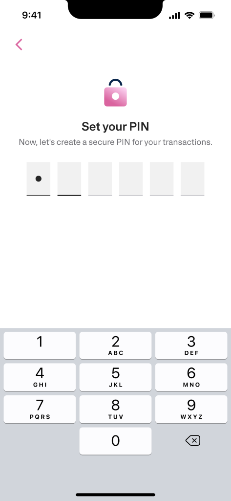 Transfez Singapore KYC (Identity Verification) Guide 8 Transfez Singapore KYC (Identity Verification) Guide - 07 Pin Input eng