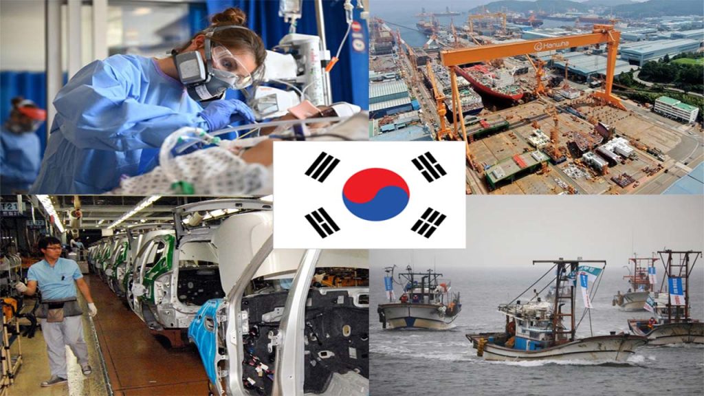 peluang karir di korea selatan