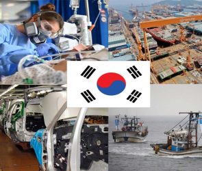 peluang karir di korea selatan