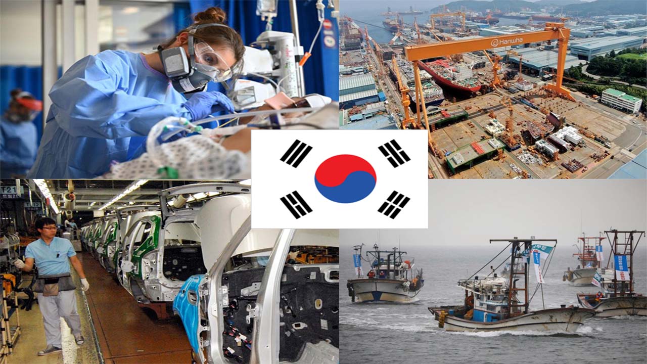 peluang karir di korea selatan