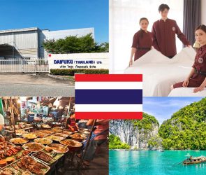 industri yang banyak menyerap tenaga kerja asing di Thailand