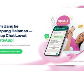 ID Transfez on WhatsApp Section 01