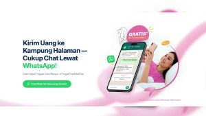 ID Transfez on WhatsApp Section 01